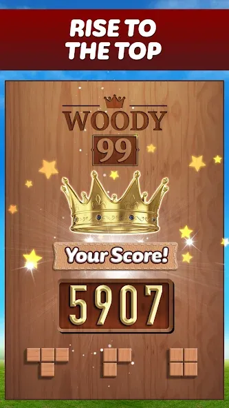 Woody 99 - Sudoku Block Puzzle (Вуди 99) [МОД Mega Pack] APK Android Screenshot 5