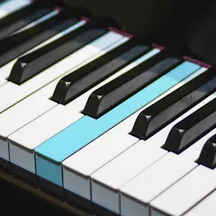 Real Piano electronic keyboard (Риал Пиано) [МОД Много денег] APK Android