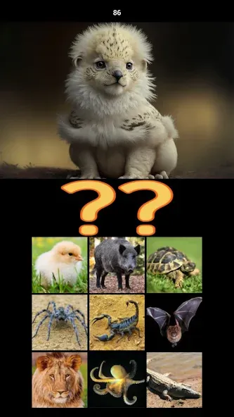 Hybrid Animals Crazy Lab Quiz (Хибридные животные Сумасшедшая лаборатория Викторина) [МОД Mega Pack] APK Android Screenshot 5