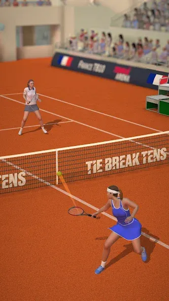 Tennis Arena (Теннисная арена) [МОД Mega Pack] APK Android Screenshot 2