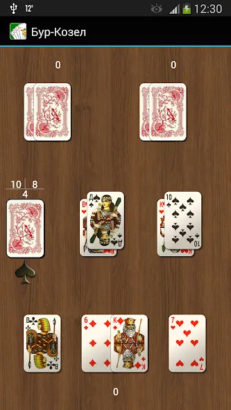 Карточная игра Бур-Козел [МОД Premium] APK Android Screenshot 1