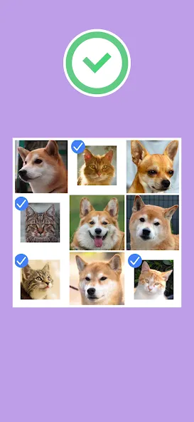 No Robots Allowed - Crazy Quiz (Но роботы не допускаются) [МОД Бесконечные монеты] APK Android Screenshot 5