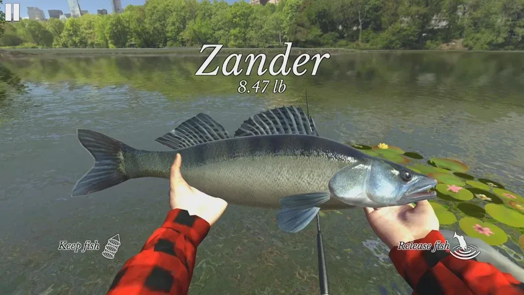 Ultimate Fishing Simulator (Ультимейт Фишинг Симулятор) [МОД Бесконечные монеты] APK Android Screenshot 2