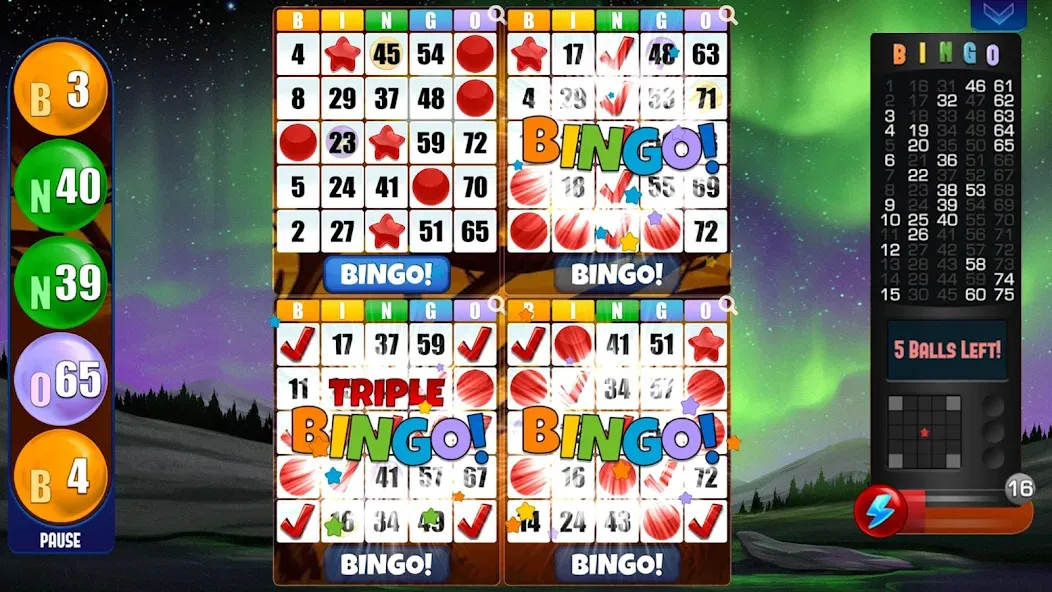 Absolute Bingo [МОД Все открыто] APK Android Screenshot 2
