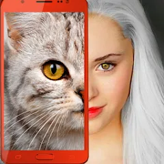Kitten: what cat are you? joke [МОД Все открыто] APK Android