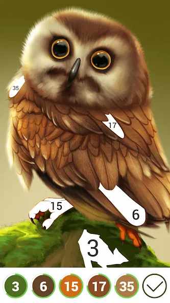 Hola Color--Coloring by Number (ола калор) [МОД Много денег] APK Android Screenshot 3