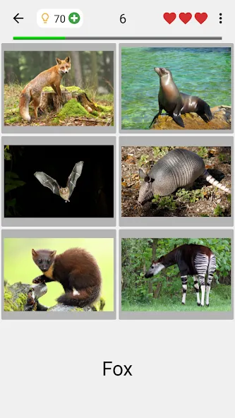 Animals Quiz Learn All Mammals [МОД Много денег] APK Android Screenshot 2