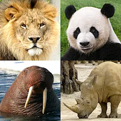 Animals Quiz Learn All Mammals [МОД Много денег] APK Android