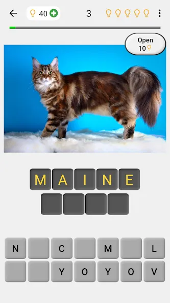Cats Quiz Guess Popular Breeds [МОД Mega Pack] APK Android Screenshot 1