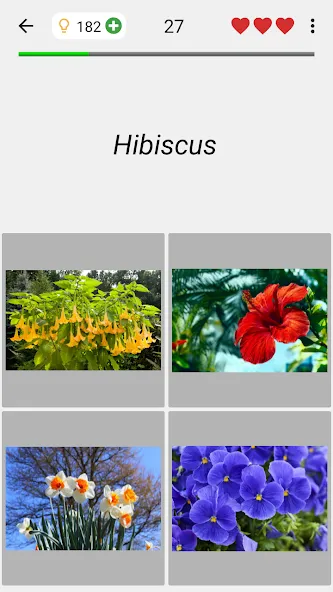 Flowers Quiz - Identify Plants [МОД Premium] APK Android Screenshot 4