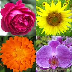 Flowers Quiz - Identify Plants [МОД Premium] APK Android