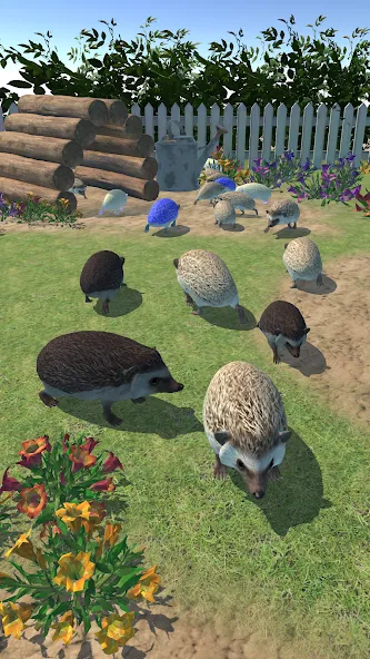 Hedgehog Friends (Хеджхог Френдс) [МОД Все открыто] APK Android Screenshot 3