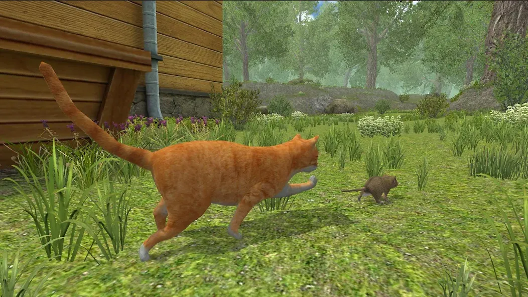 Mouse Simulator :  Forest Home [МОД Premium] APK Android Screenshot 3