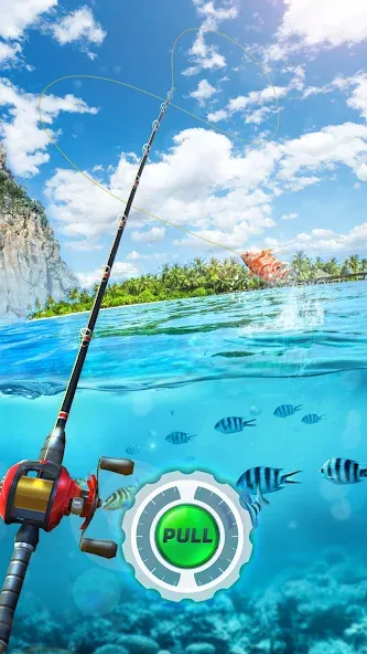 Fishing Rival 3D (Фишинг Ривал 3Д) [МОД Бесконечные монеты] APK Android Screenshot 1