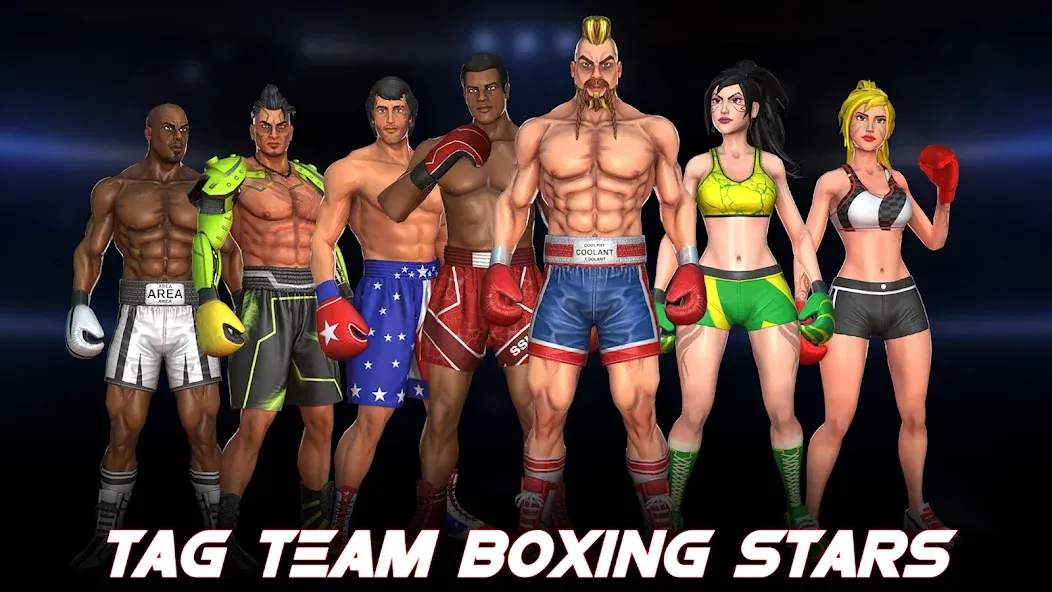 Boxing Heros: Fighting Games (Тэг Боксинг Игры) [МОД Mega Pack] APK Android Screenshot 5