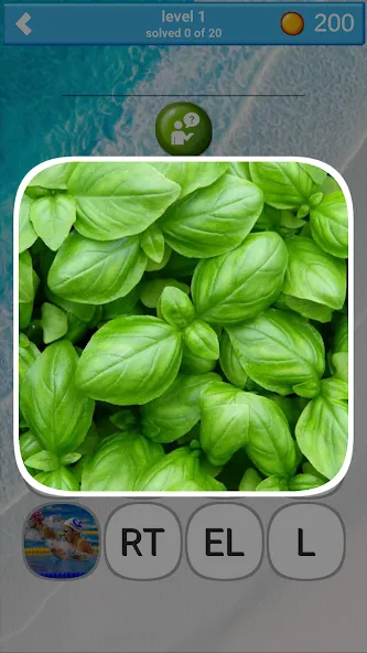 780 words (семьсот восемьдесят) [МОД Меню] APK Android Screenshot 4