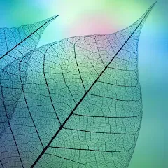 780 words (семьсот восемьдесят) [МОД Меню] APK Android