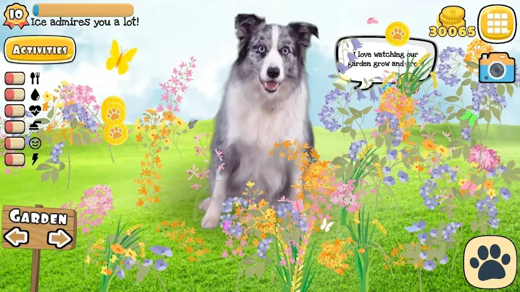 Adopt a pet : Corgi Games (Риал Петс бай Фруви) [МОД Unlocked] APK Android Screenshot 4