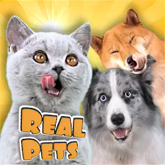 Adopt a pet : Corgi Games (Риал Петс бай Фруви) [МОД Unlocked] APK Android