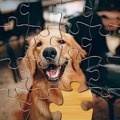 Jigsaw Go - Classic Jigsaw Puz (Джигсоу Го) [МОД Все открыто] APK Android