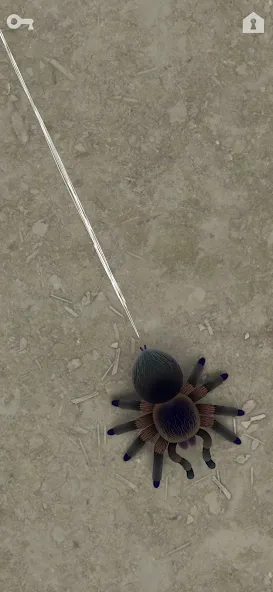 CAT ALONE 2 - Cat Toy (САТ АЛОНЕ 2) [МОД Mega Pack] APK Android Screenshot 4