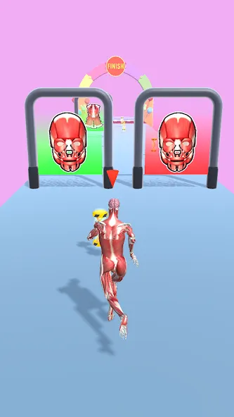 Human Evolution Run [МОД Mega Pack] APK Android Screenshot 5