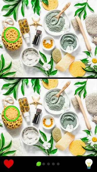 Find the Difference 1000+ [МОД Меню] APK Android Screenshot 4