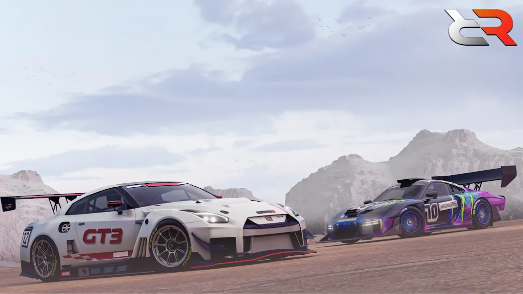 Real Rally Drift & Rally Race (Риал Ралли) [МОД Меню] APK Android Screenshot 2