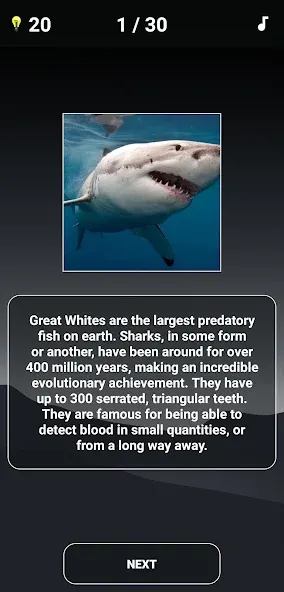 Animal Quiz: Guess the Animal [МОД Меню] APK Android Screenshot 4