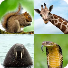 Animal Quiz: Guess the Animal [МОД Меню] APK Android