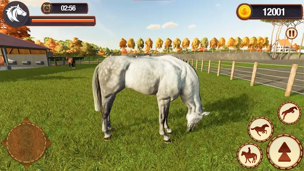 My Horse Herd Care Simulator (Мой симулятор ухода за стадом лошадей) [МОД Premium] APK Android Screenshot 5
