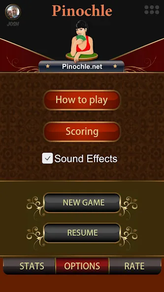 Pinochle.Net [МОД Unlocked] APK Android Screenshot 2