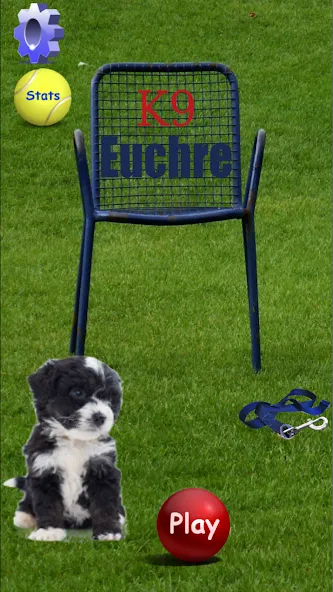 K9 Euchre (К9 Юкер) [МОД Много денег] APK Android Screenshot 1