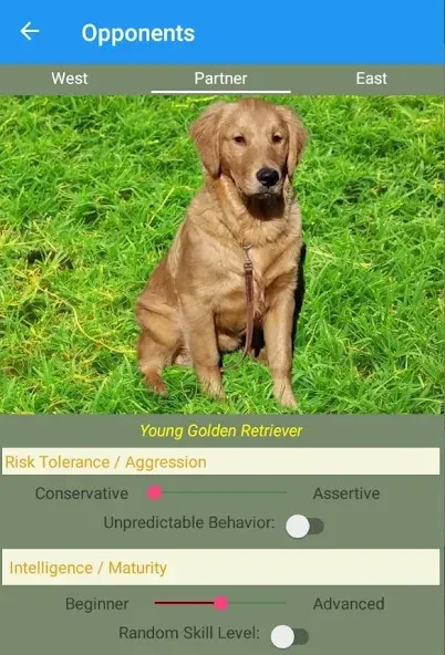 K9 Euchre (К9 Юкер) [МОД Много денег] APK Android Screenshot 4