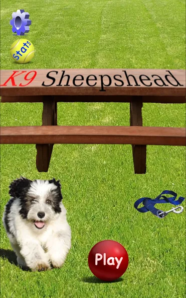 K9 Sheepshead (Schafkopf) (Шипсхед) [МОД Unlocked] APK Android Screenshot 1