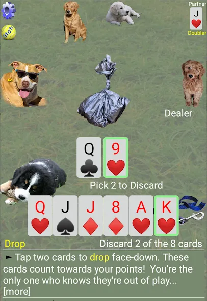 K9 Sheepshead (Schafkopf) (Шипсхед) [МОД Unlocked] APK Android Screenshot 3