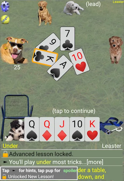 K9 Sheepshead (Schafkopf) (Шипсхед) [МОД Unlocked] APK Android Screenshot 4