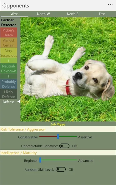 K9 Sheepshead (Schafkopf) (Шипсхед) [МОД Unlocked] APK Android Screenshot 5