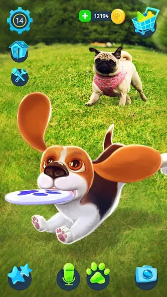 Tamadog - Puppy Pet Dog Games (Тамадог) [МОД Бесконечные монеты] APK Android Screenshot 3