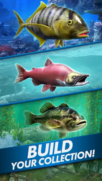 Ultimate Fishing! Fish Game [МОД Unlocked] APK Android Screenshot 5
