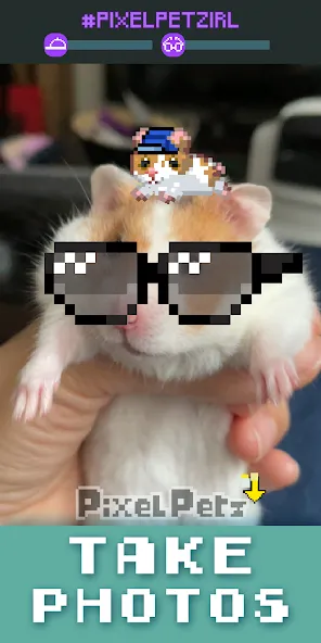 Pixel Petz [МОД Меню] APK Android Screenshot 4