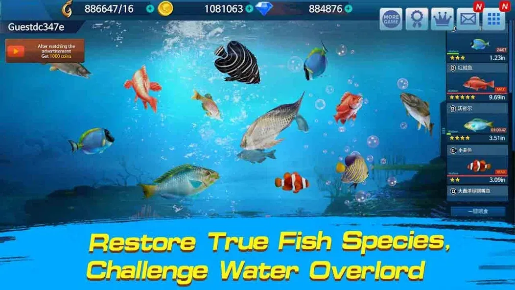 Fishing Championship [МОД Premium] APK Android Screenshot 2