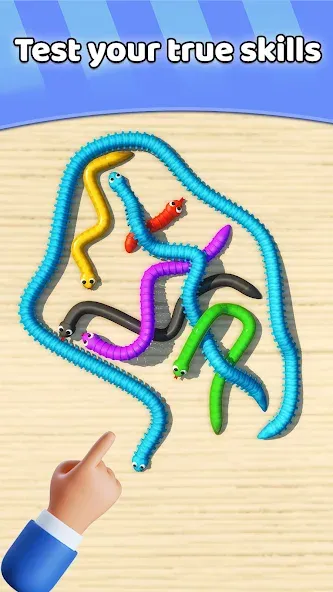 Tangled Snakes Puzzle Game (Танглед Снейк 3Д) [МОД Бесконечные монеты] APK Android Screenshot 4