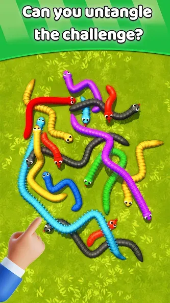 Tangled Snakes Puzzle Game (Танглед Снейк 3Д) [МОД Бесконечные монеты] APK Android Screenshot 5