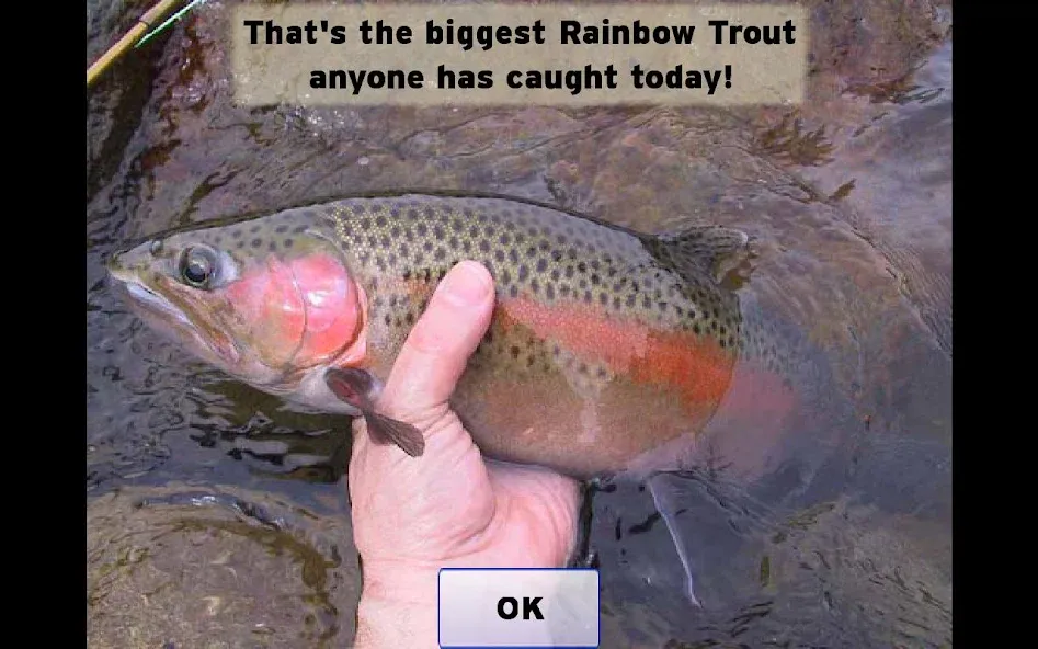 Fly Fishing Simulator (Флай Фишинг Симулятор) [МОД Бесконечные монеты] APK Android Screenshot 5