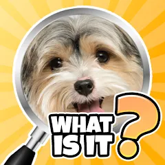 What is it? Pics Trivia Quiz [МОД Unlocked] APK Android