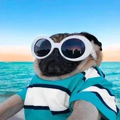 10000 words (десять тысяч) [МОД Бесконечные монеты] APK Android