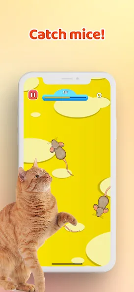 Games for Cat－Toy Mouse & Fish [МОД Бесконечные монеты] APK Android Screenshot 1