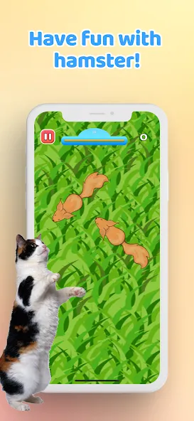 Games for Cat－Toy Mouse & Fish [МОД Бесконечные монеты] APK Android Screenshot 5