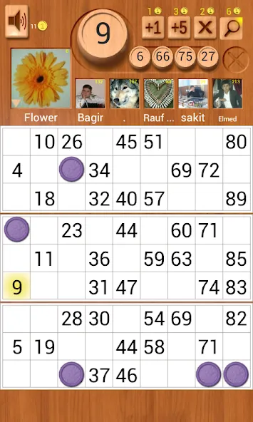 Loto Online [МОД Mega Pack] APK Android Screenshot 1